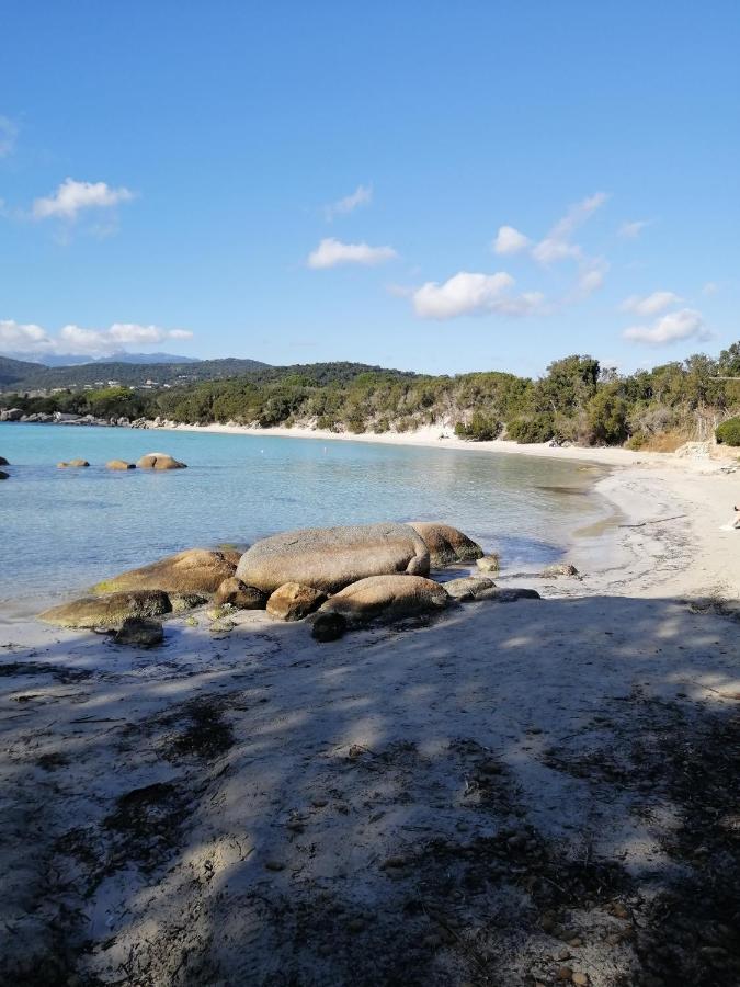 Villa Vue Mer A Santa Giulia 포르토베쉬오 외부 사진