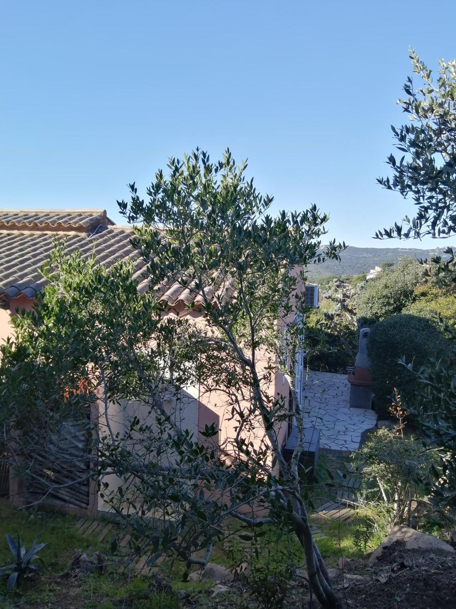 Villa Vue Mer A Santa Giulia 포르토베쉬오 외부 사진
